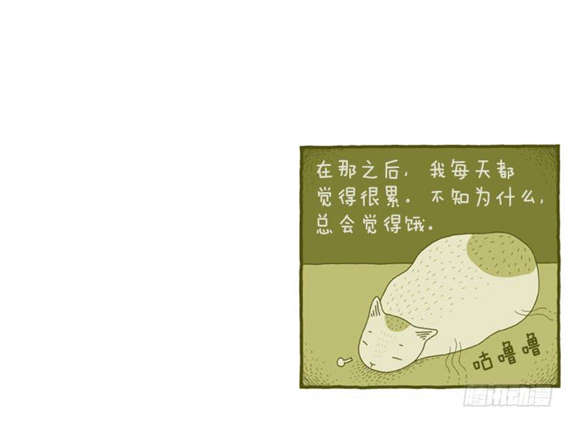 她去哪儿了-第4话