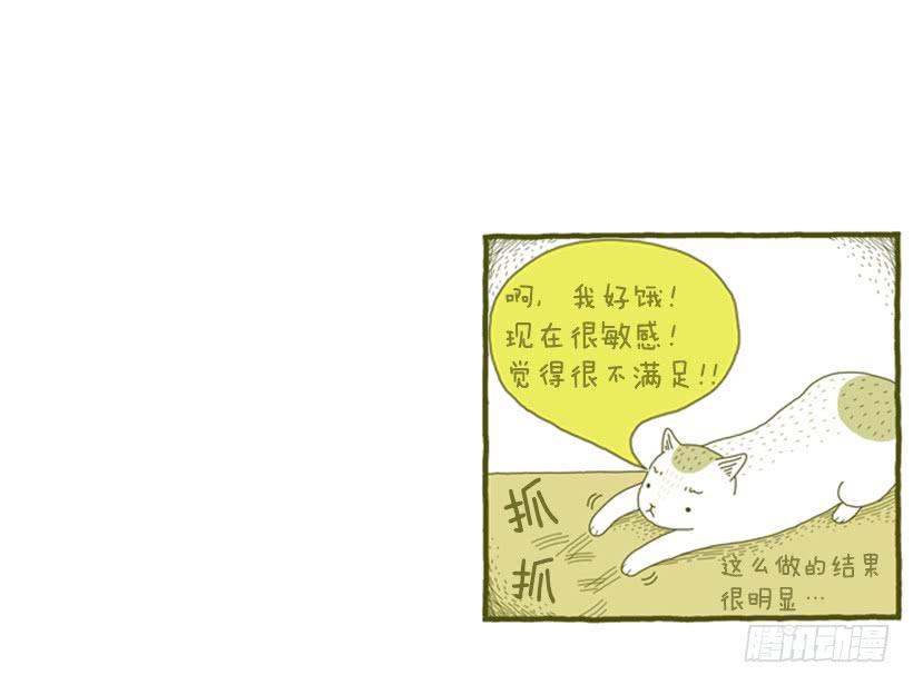 她去哪儿了-第4话