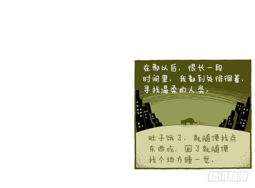 她去哪儿了-第4话