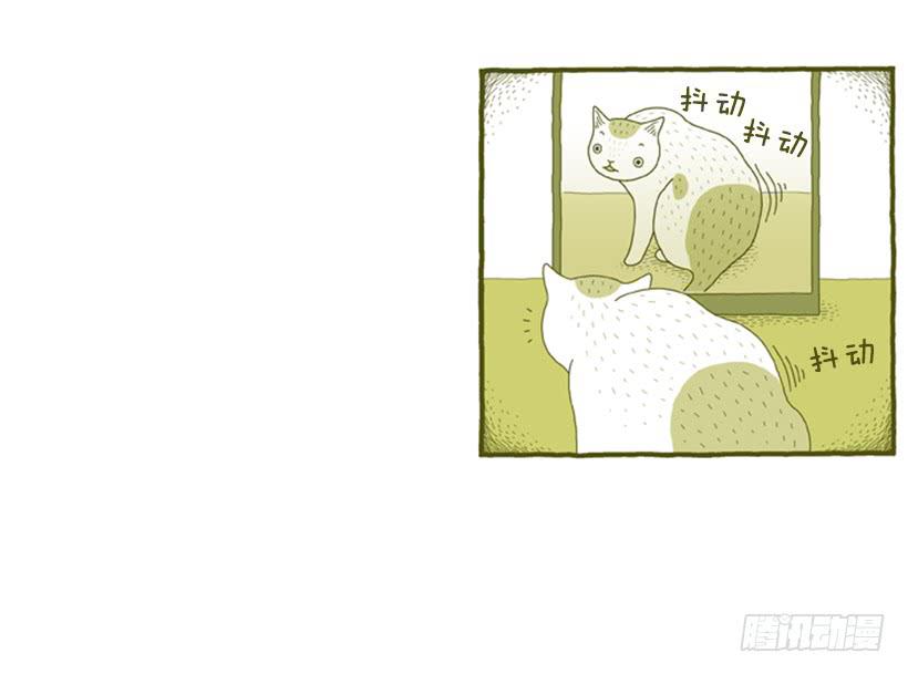 我也是时尚达人(1/2)-第32话