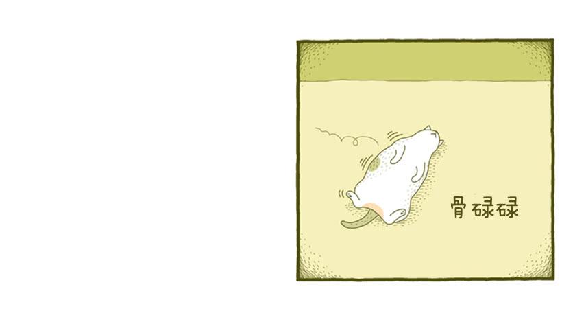 我也是时尚达人(1/2)-第32话