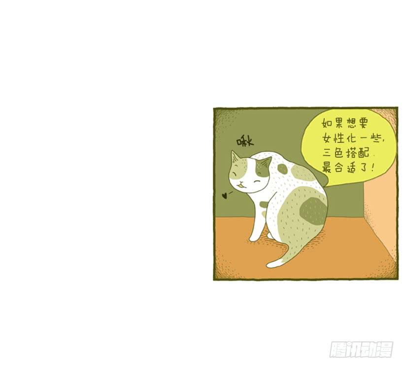 我也是时尚达人(1/2)-第32话