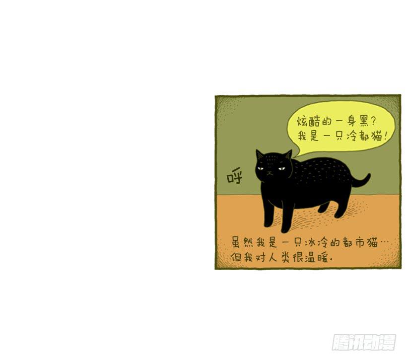 我也是时尚达人(1/2)-第32话