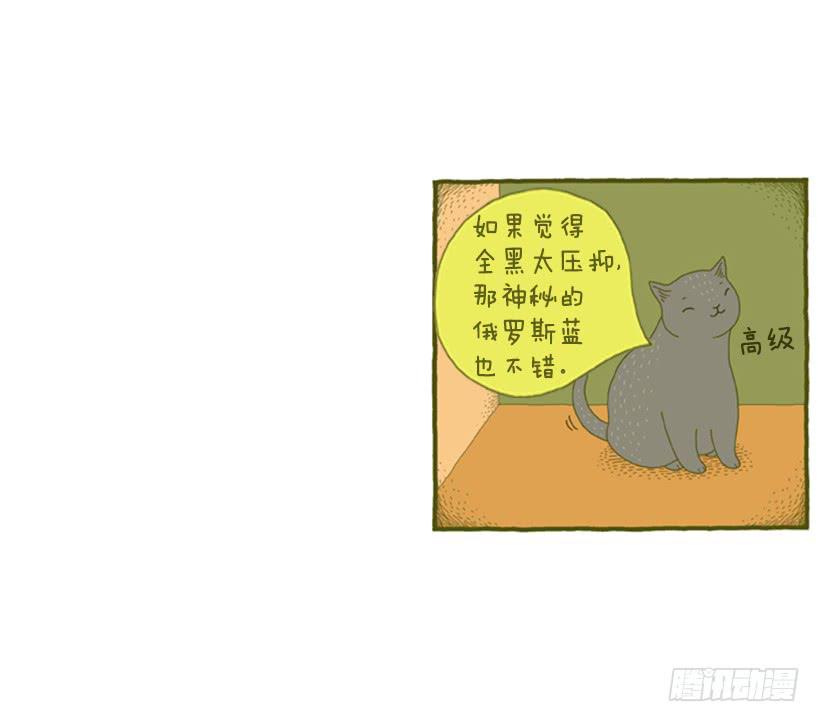 我也是时尚达人(1/2)-第32话