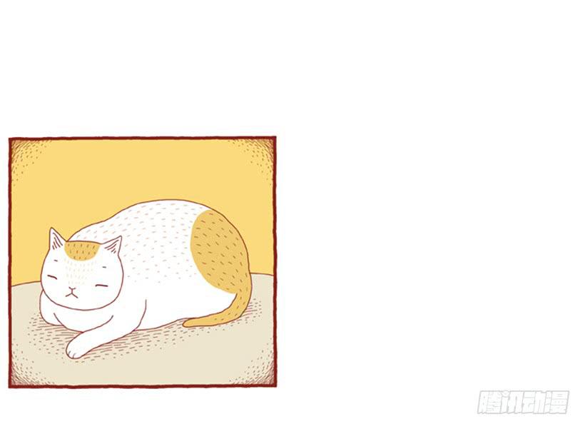 明天开始减肥-第34话