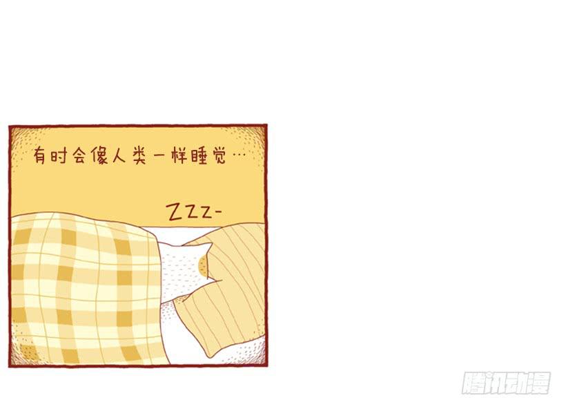 人也跟猫一样-第40话