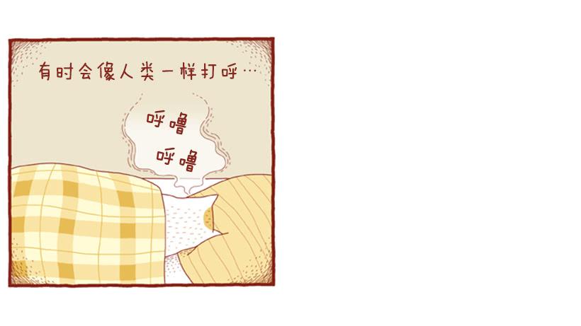 人也跟猫一样-第40话