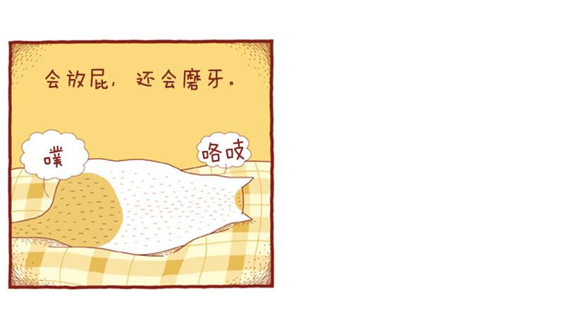 人也跟猫一样-第40话