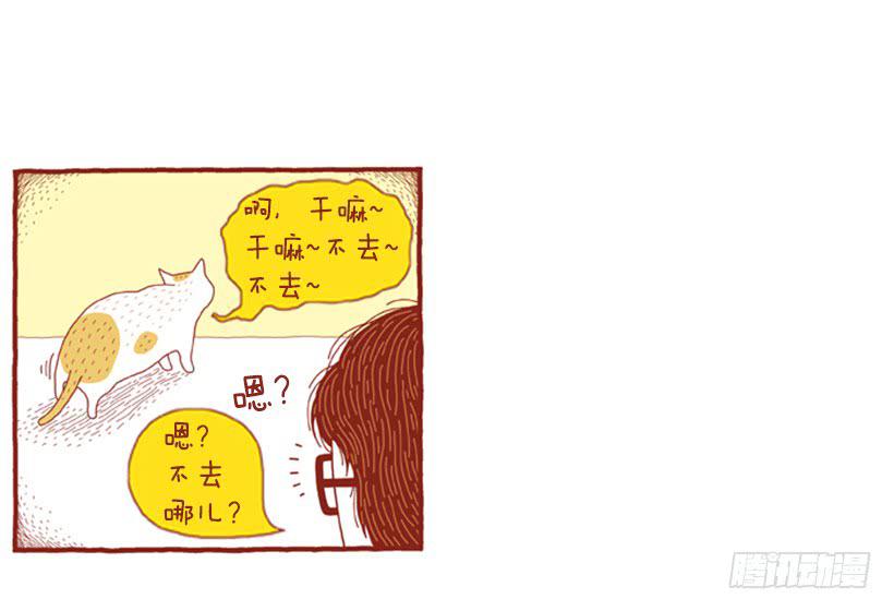 人也跟猫一样-第40话