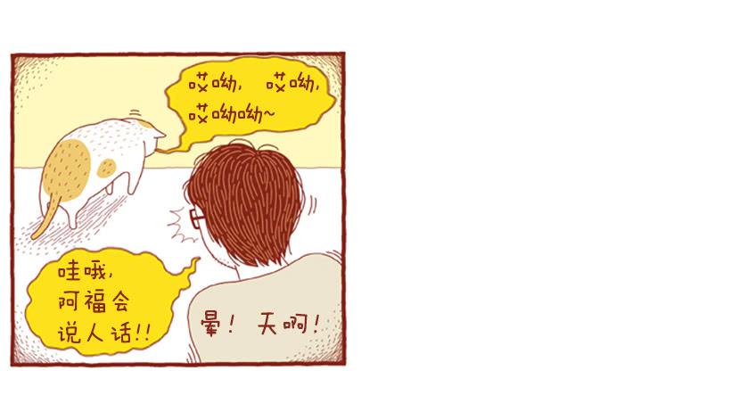 人也跟猫一样-第40话