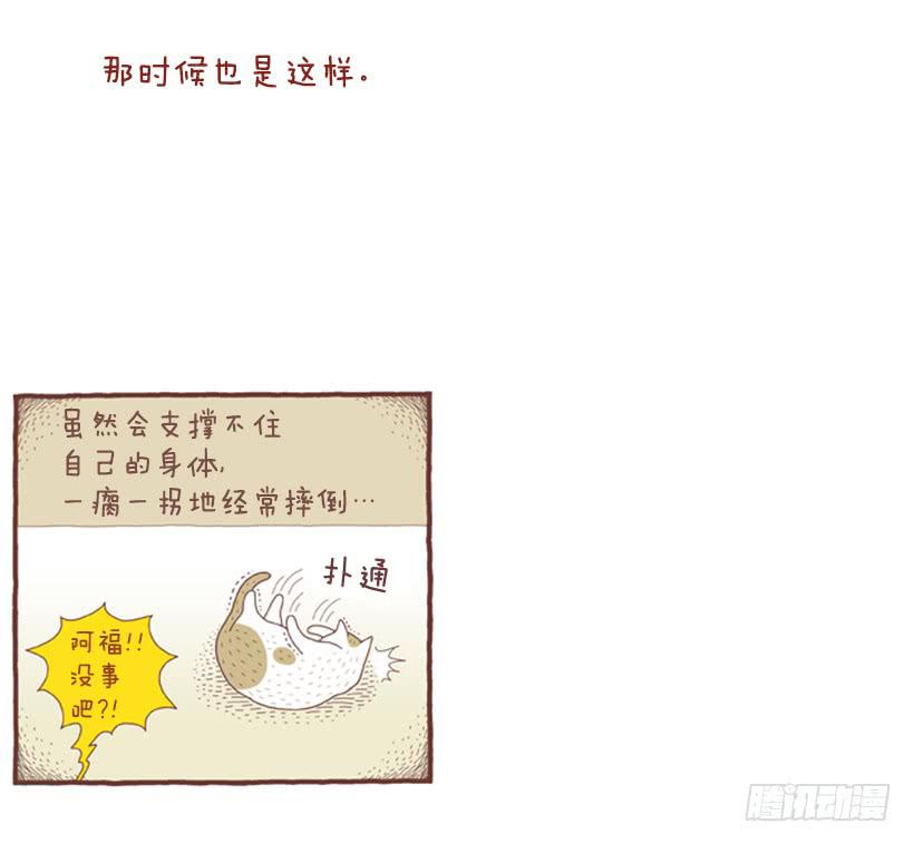 自我怜悯的泥潭-第46话