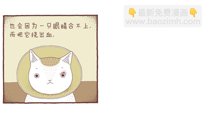 自我怜悯的泥潭-第46话