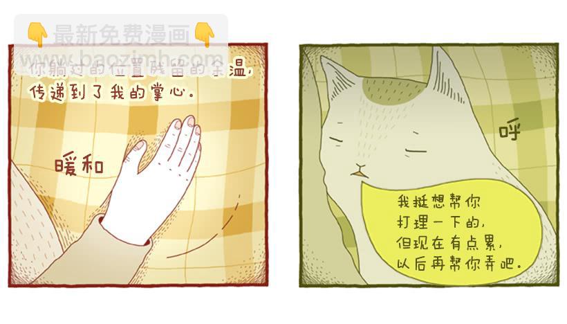 甜蜜的同床-第48话