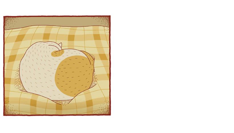 甜蜜的同床-第48话