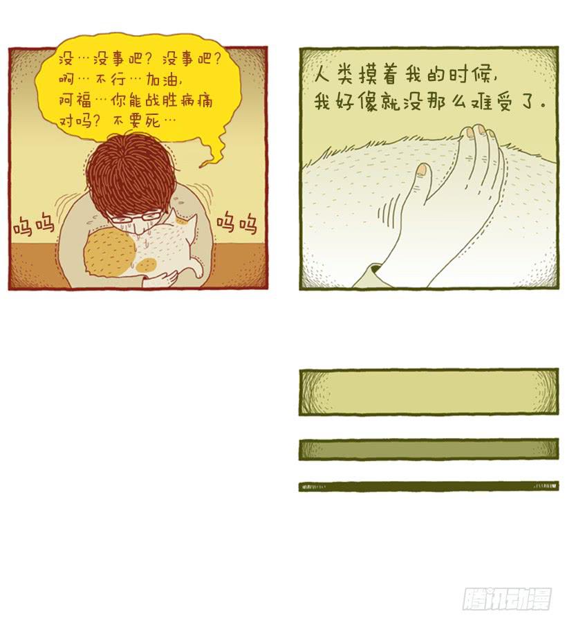 恬静深沉的梦-第50话