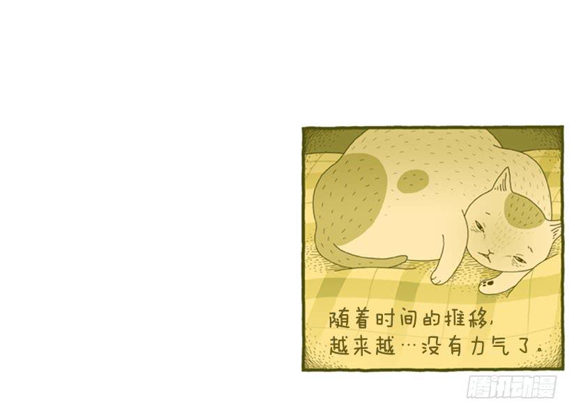 恬静深沉的梦-第50话