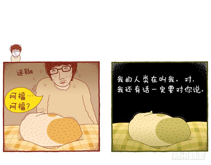 恬静深沉的梦-第50话