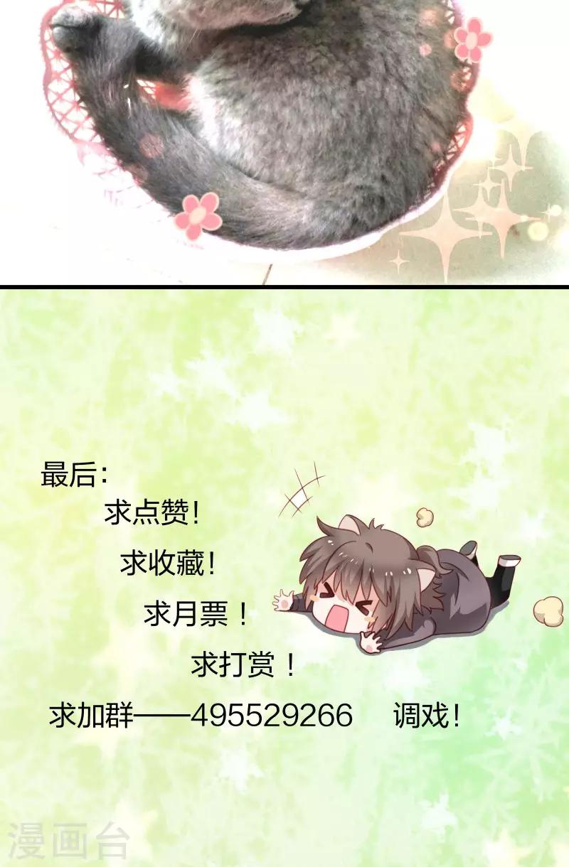 第11话 送上门的王妃-第12话