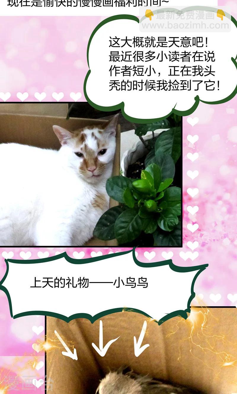 第17话 美丽的小土壤-第18话