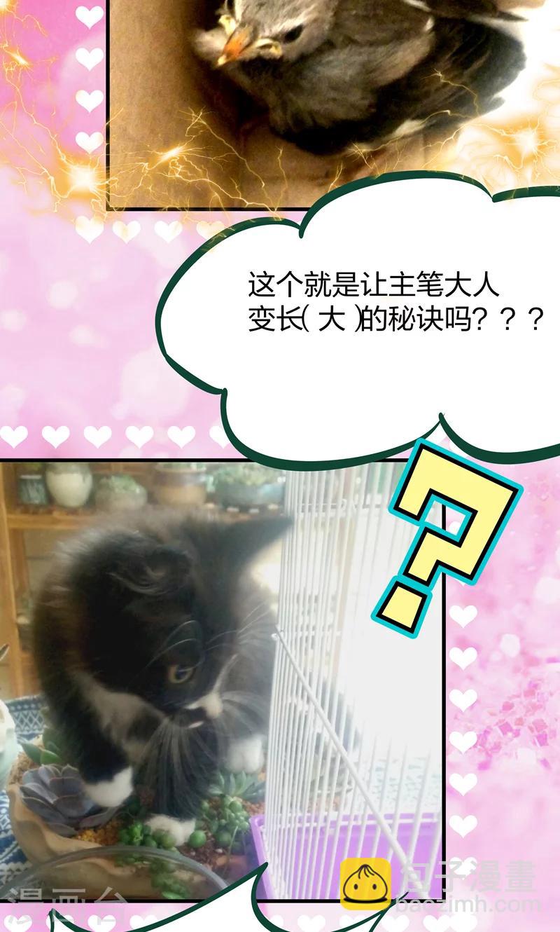 第17话 美丽的小土壤-第18话