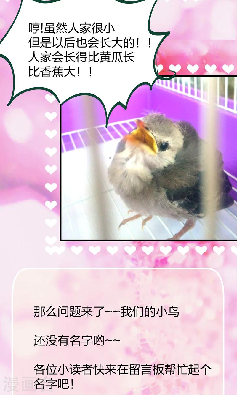 第17话 美丽的小土壤-第18话