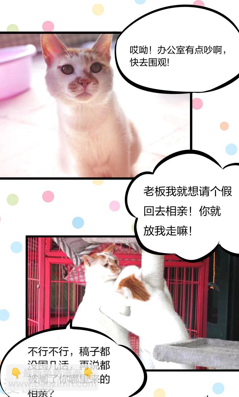 第9话 竟然胆敢坑我-第10话