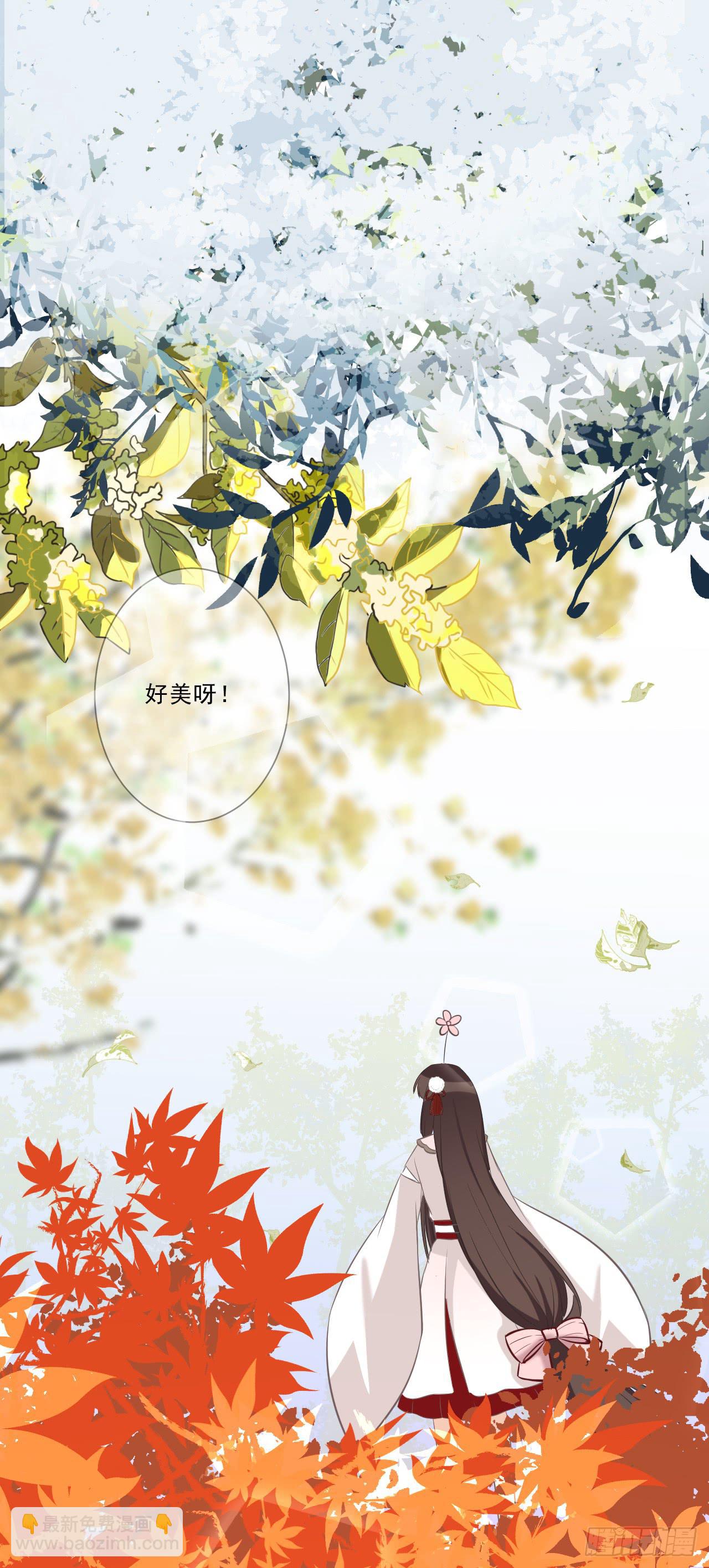 带你走遍万水千山(1/2)-第14话