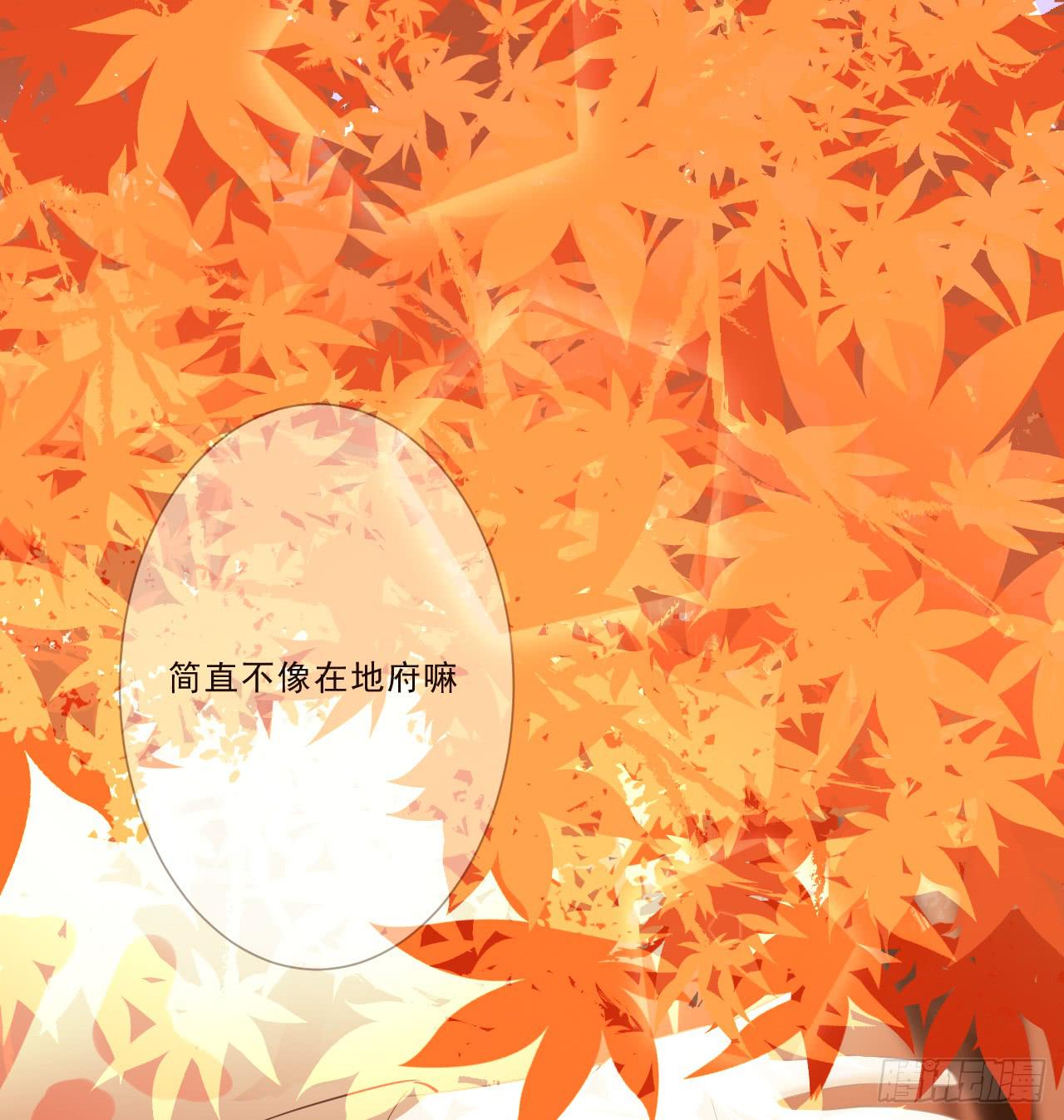 带你走遍万水千山(1/2)-第14话