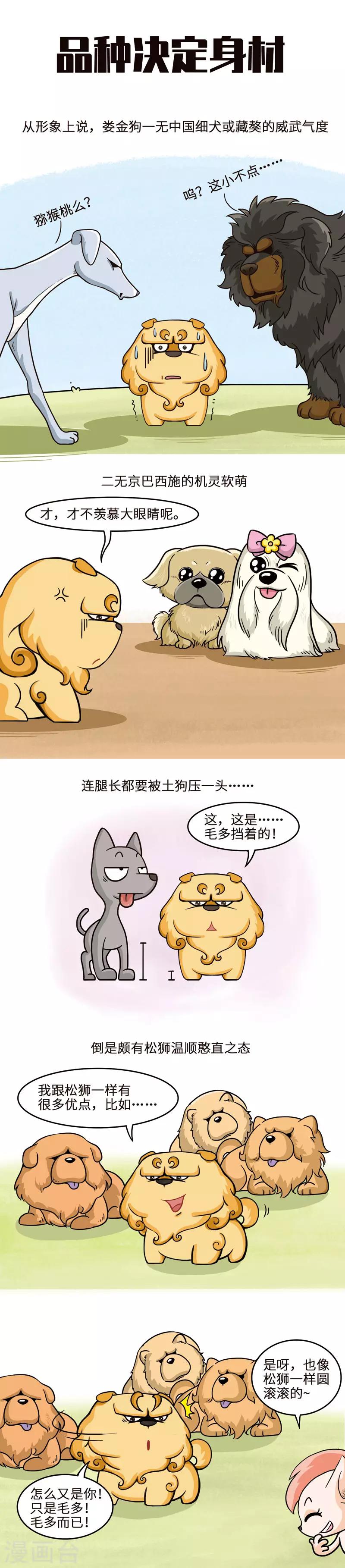 第26话 快看，有只圆滚滚的毛球-第26话