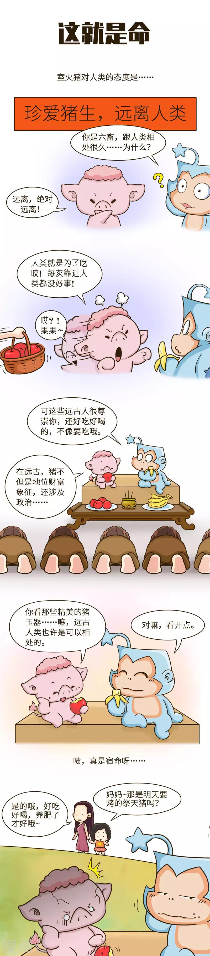 第38话 为什么被炖的总是我！-第38话