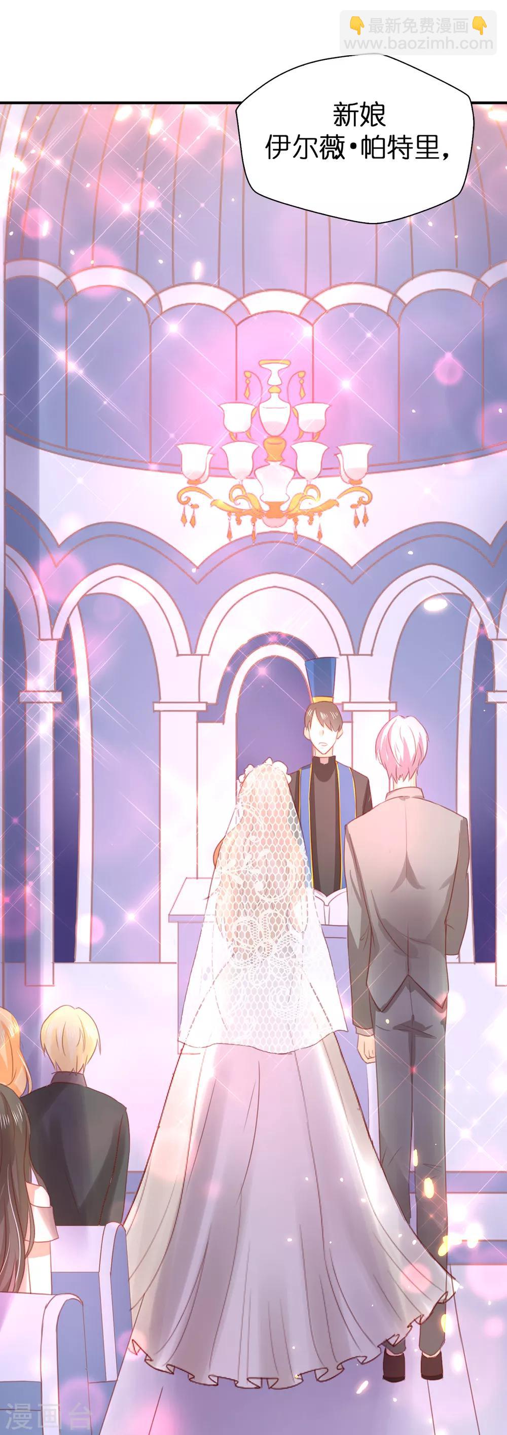 最终话 再举办一次婚礼-第112话