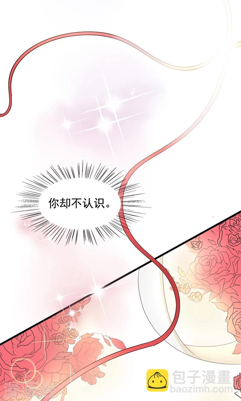 第1话 替嫁？荒唐的婚礼(1/2)-第2话