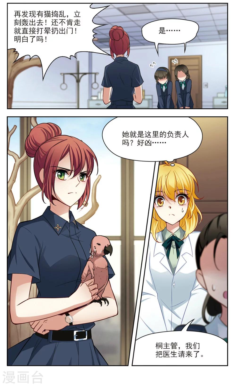 第24话 假冒兽医1-第24话