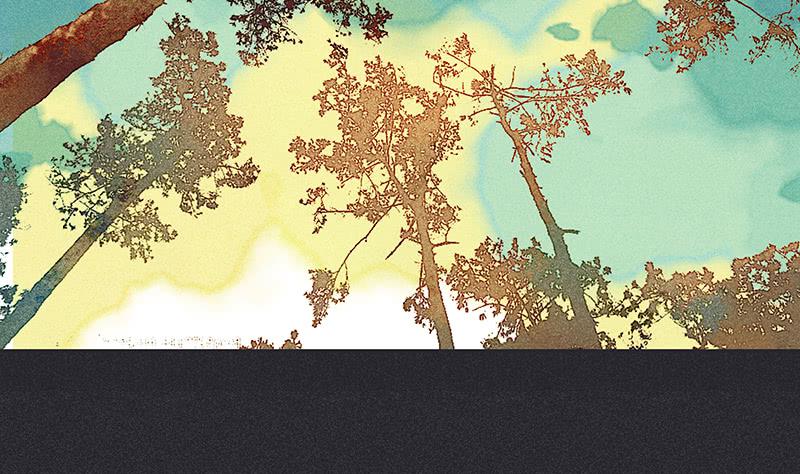 雪剑情缘 - 第十一剑(1/2) - 1