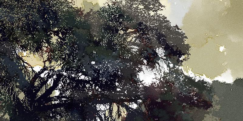 雪剑情缘 - 第九剑(1/3) - 8