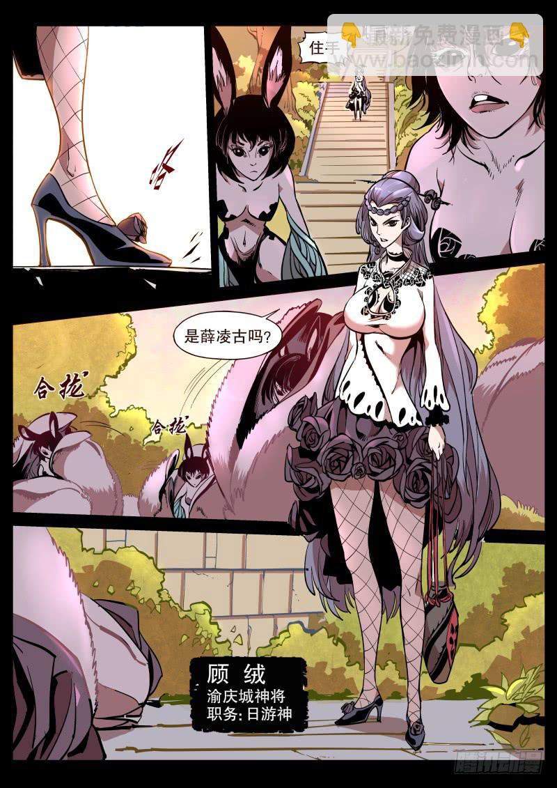 49.绒兔花语（中）-第52话