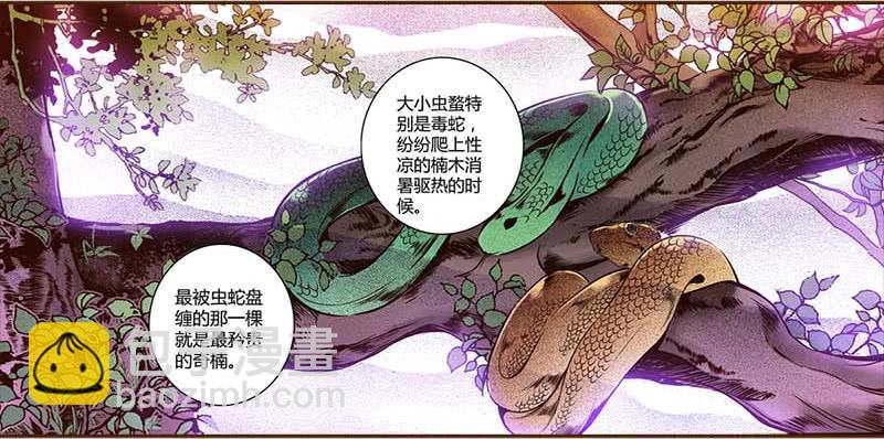 31 不死之木（二）-第32话