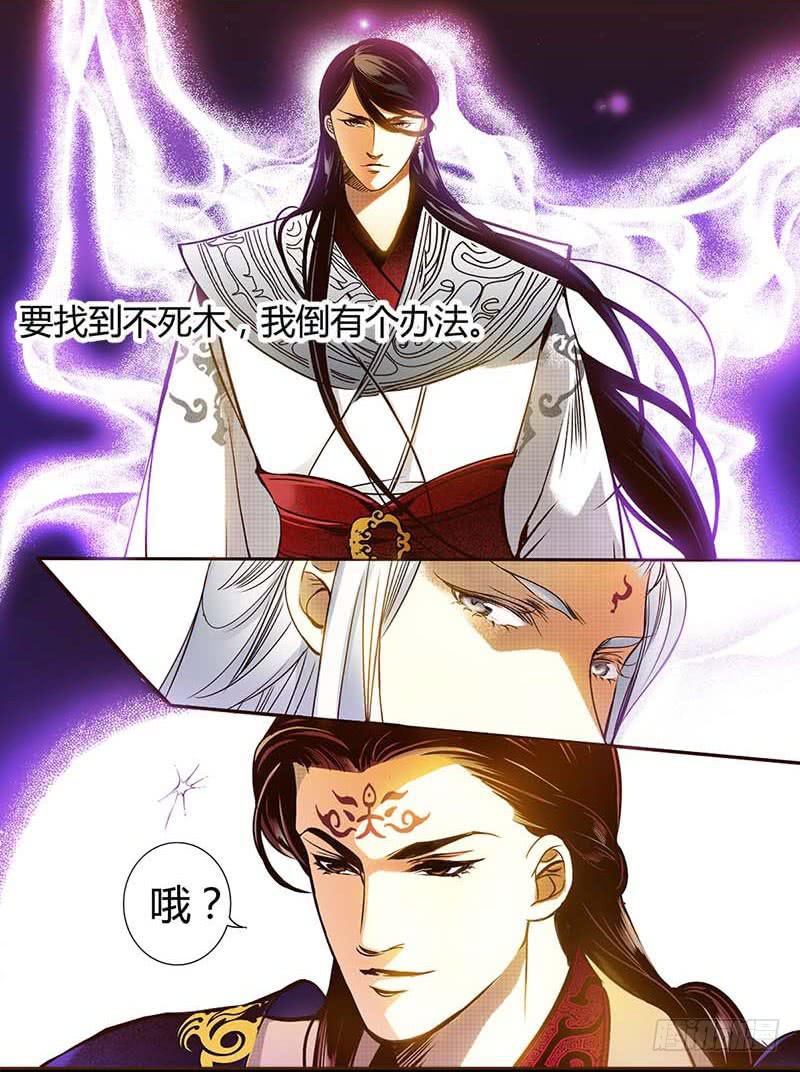 31 不死之木（二）-第32话