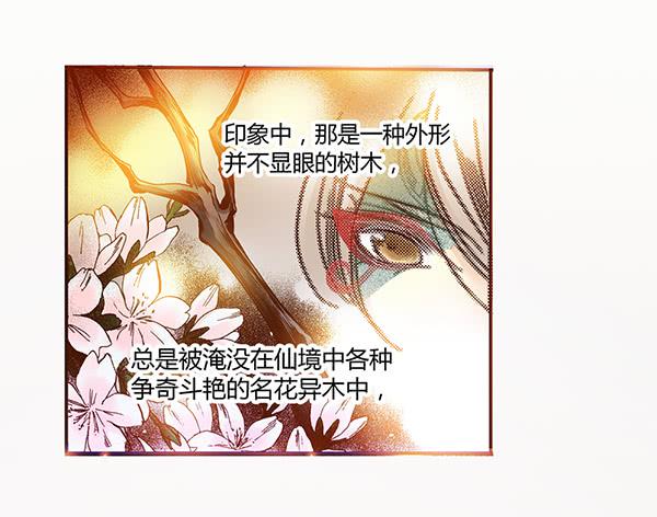 06 樱桃树木(1/2)-第6话