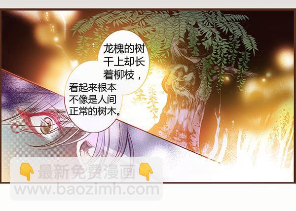 06 樱桃树木(1/2)-第6话