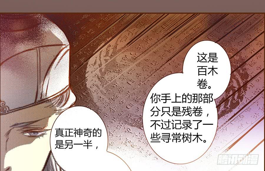 偃师 - 06 樱桃树木(2/2) - 4