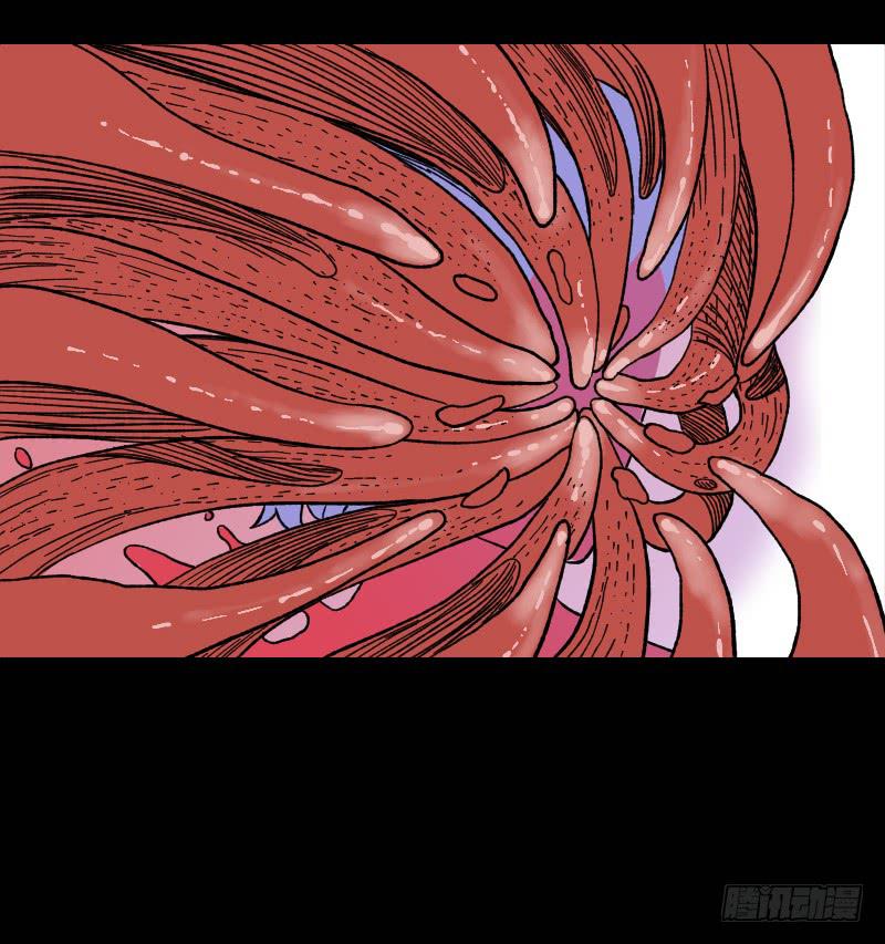 第13话：芭蕾舞（下）-第14话