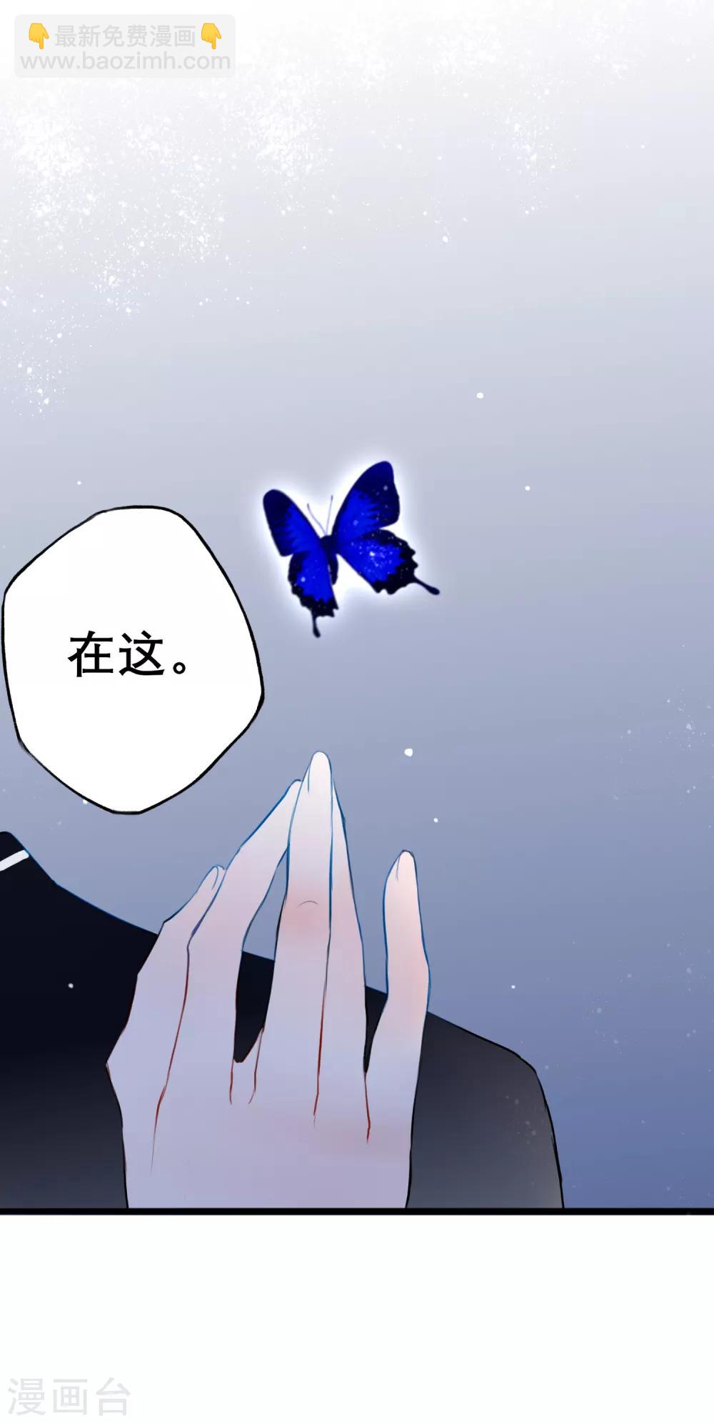 第13话 庄生晓梦迷蝴蝶-第14话