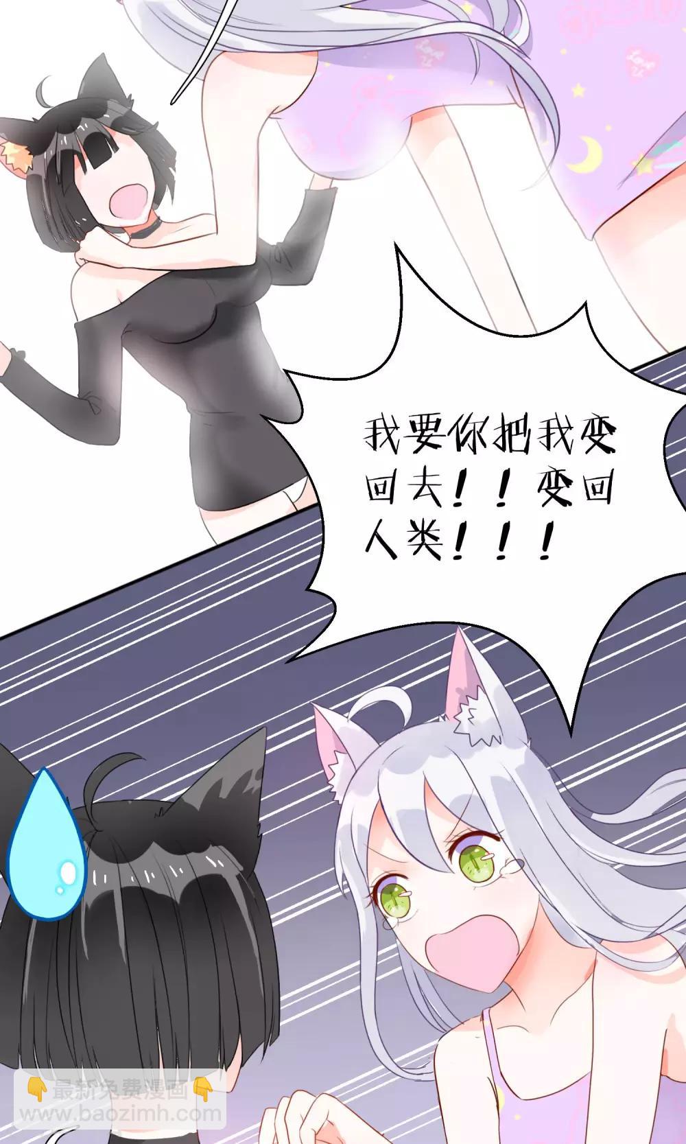 第3话 兽娘你好萌-第4话