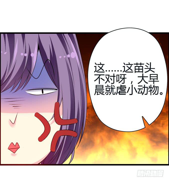 前途是赌局(1/2)-第28话