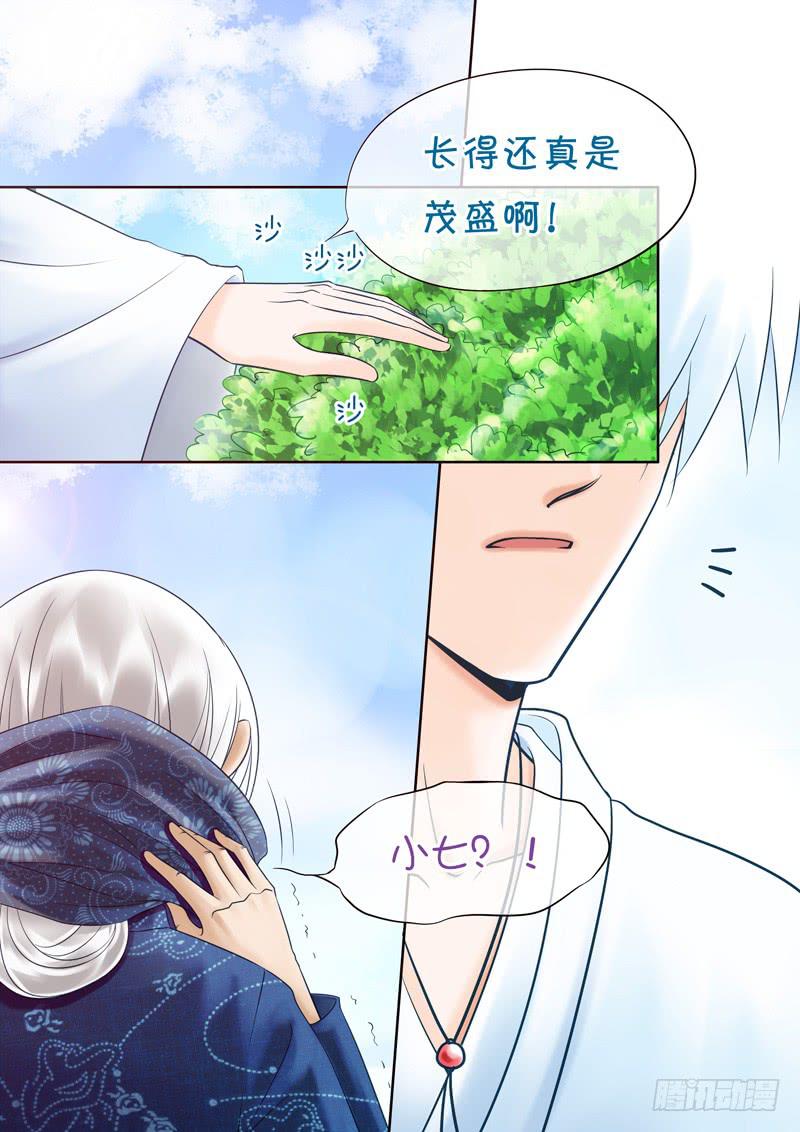 64 雨中幻影（完）-第64话