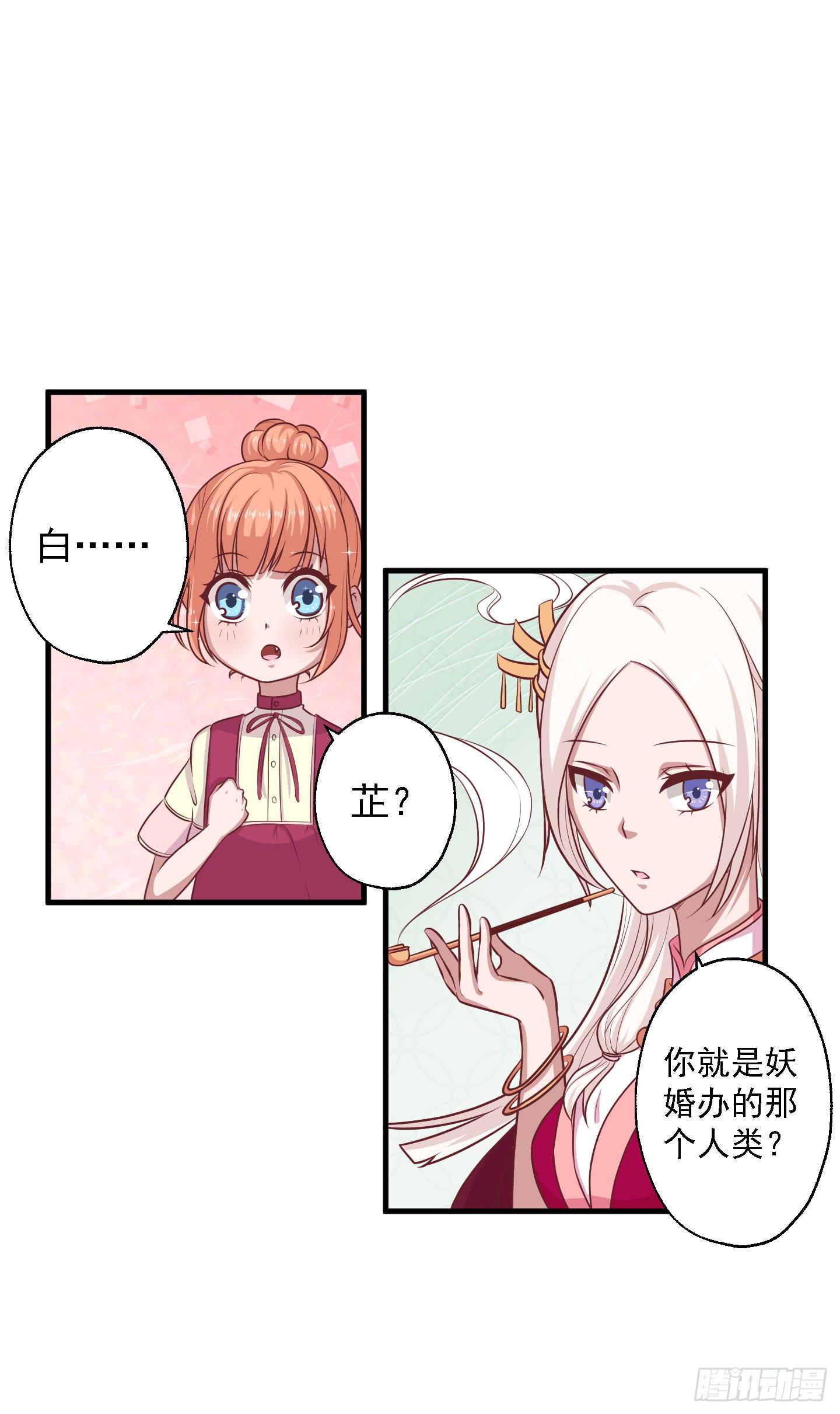 白泽的秘密！(1/2)-第30话