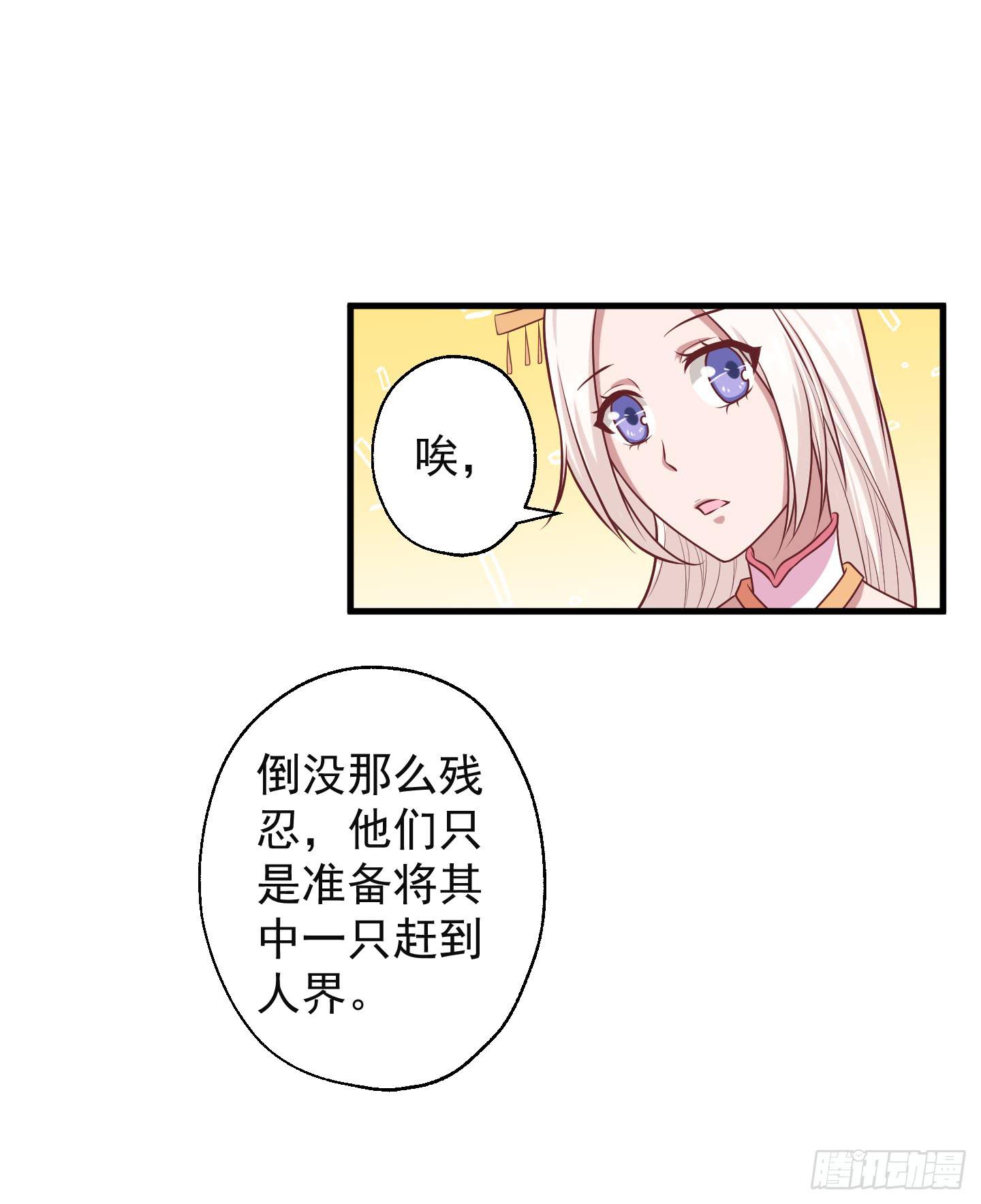 白泽的秘密！(1/2)-第30话