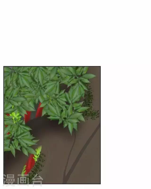 第20话 狠心断情-第20话