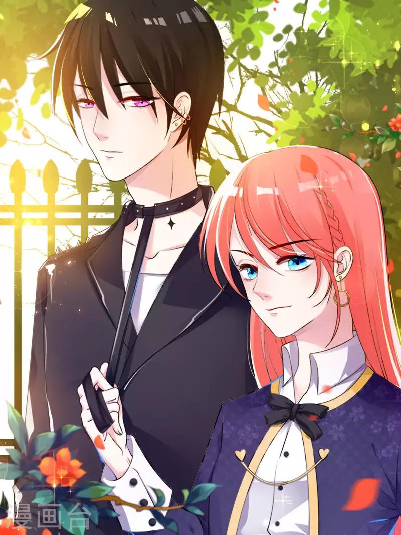 第31话 贵宾犬-第32话